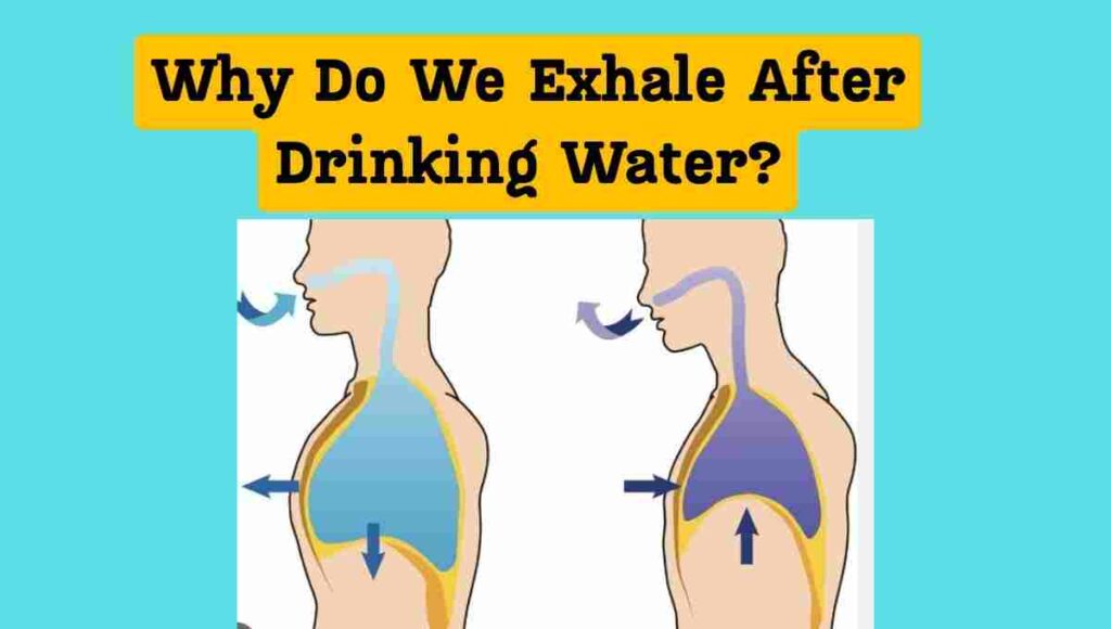 Why Do We Exhale After Drinking Water